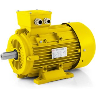 Elektromotor 0,06kW Brno 1AL 1400ot.